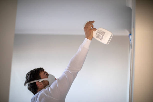 Best HVAC Mold Remediation in Sunset, FL